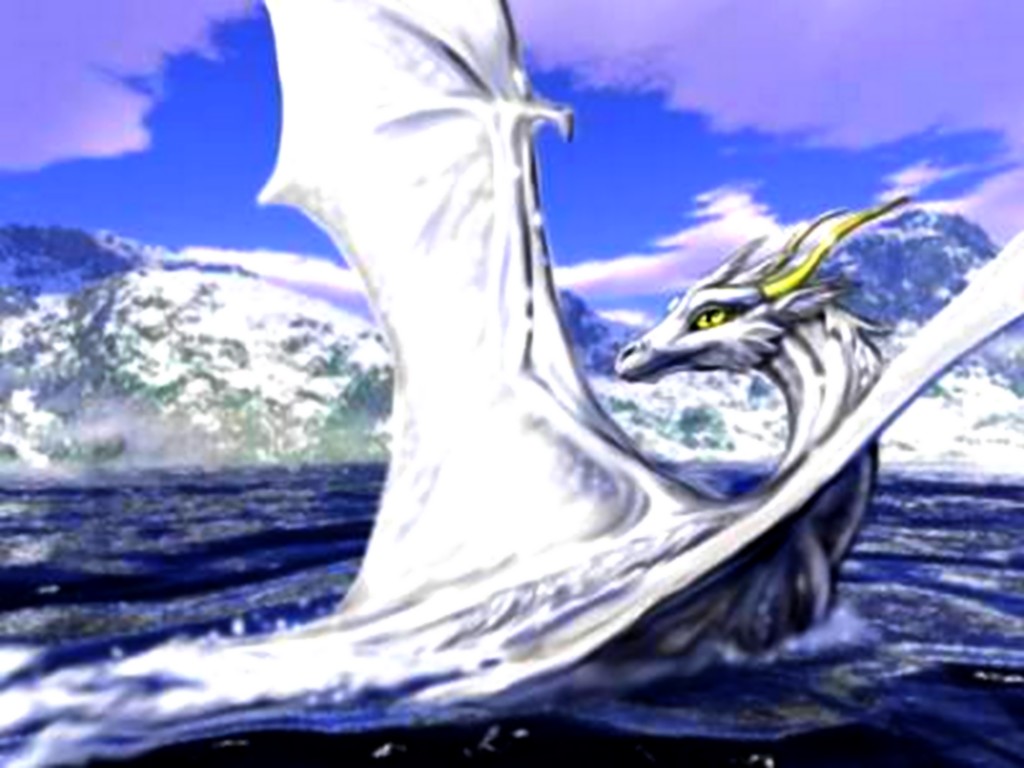 dragon50
