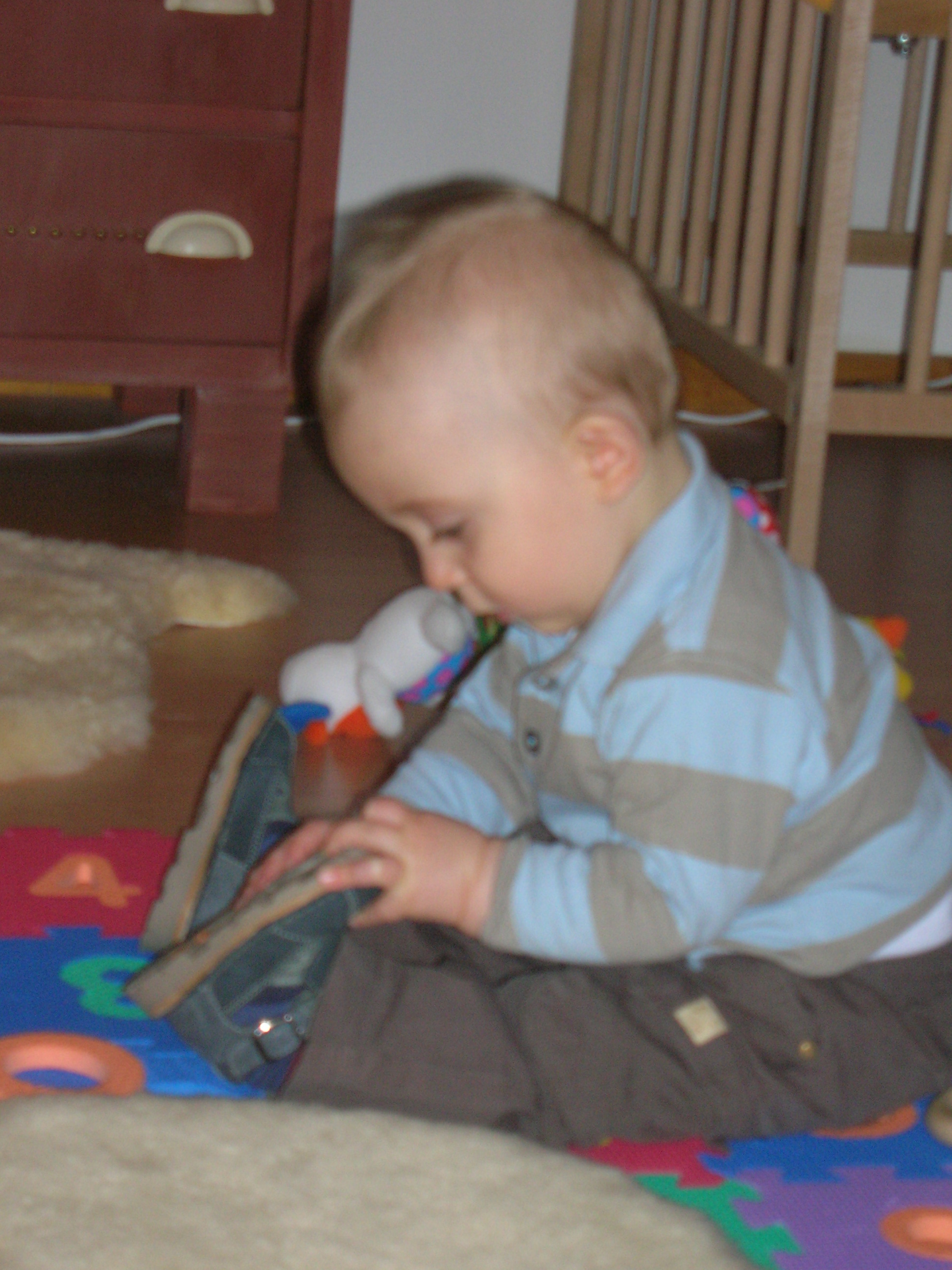 Yanis 8m et demi (2)