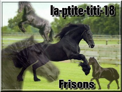 frison!!!