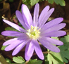 2004-03-27--28-