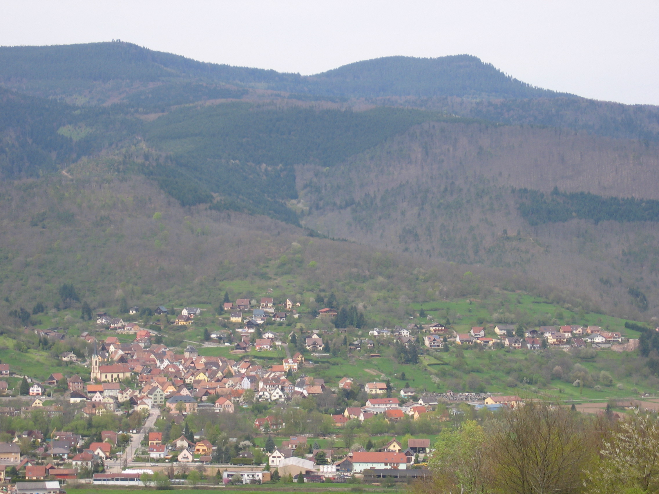 gunsbach