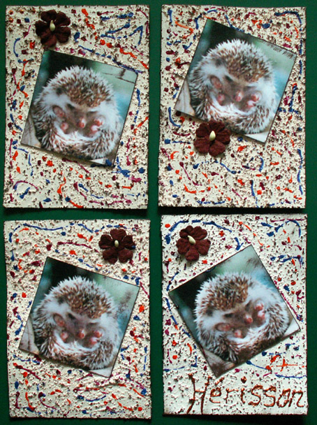 Image hébergée par Casimages.com : votre hébergeur d images simple et gratuit