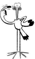 cigogne