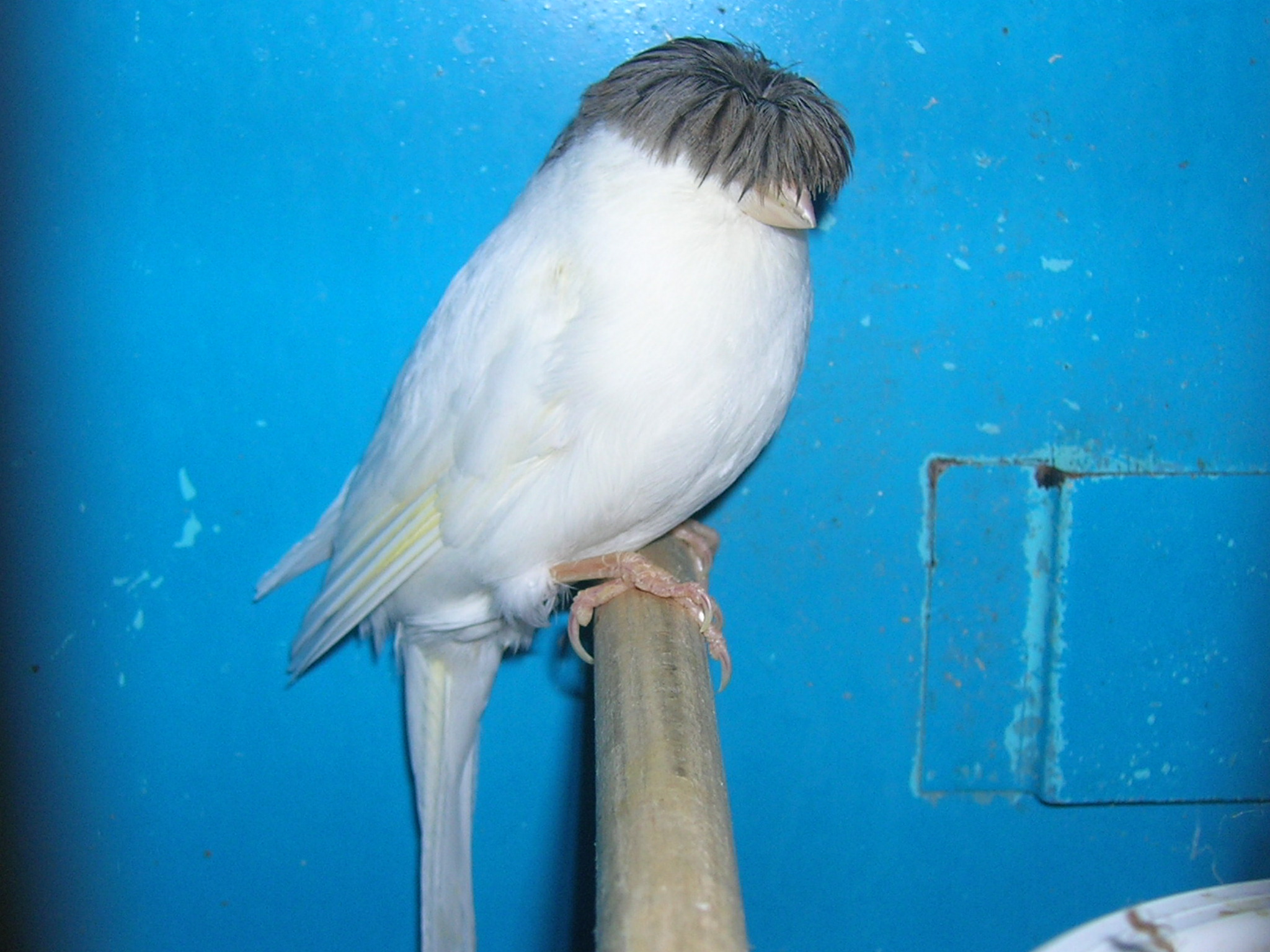 toutes les photos 004