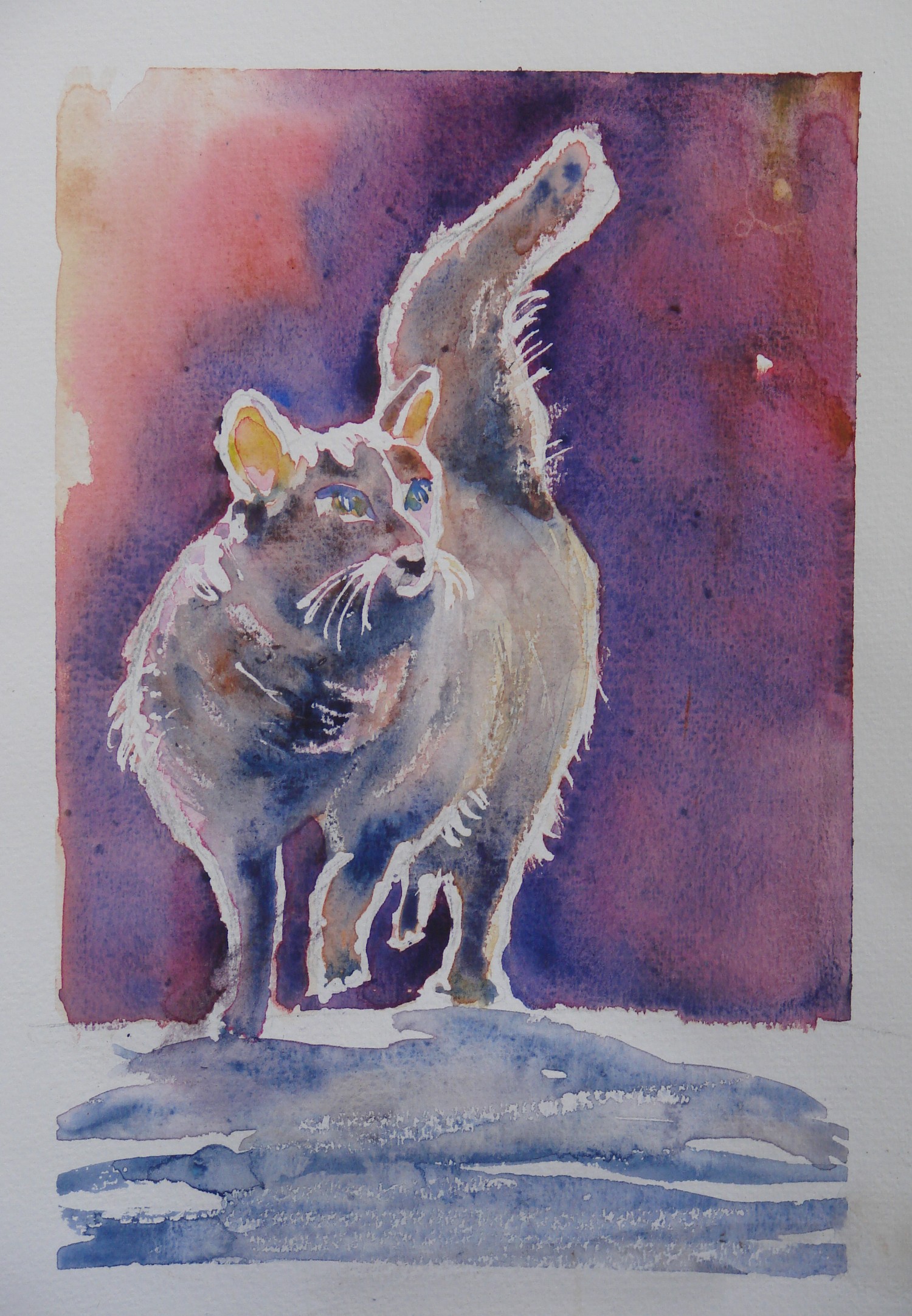 Le chat debout