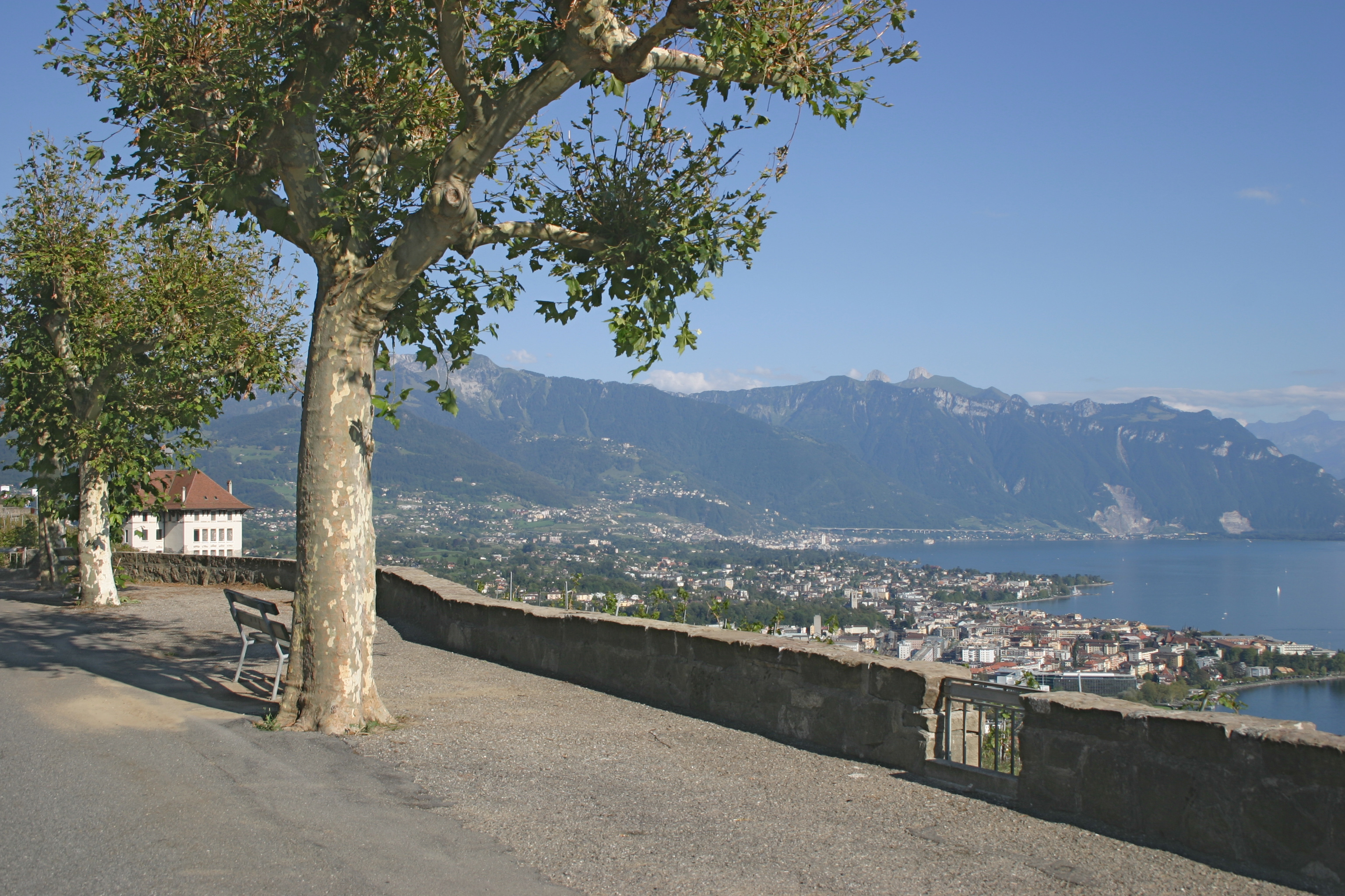 050812.09B Chardonne_platanes et lac
