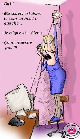 la%20blonde%20et%20son%20pc