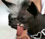 mini_gremlins[1]