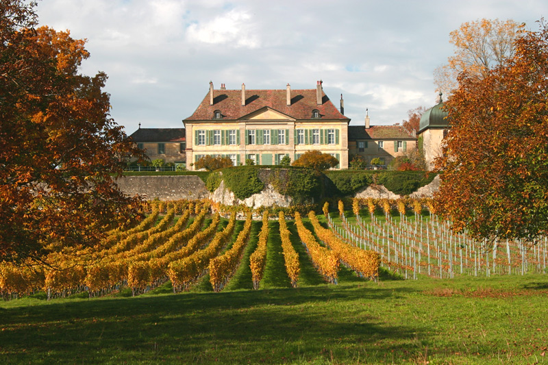 051029.5B-Vuillerens_chatea