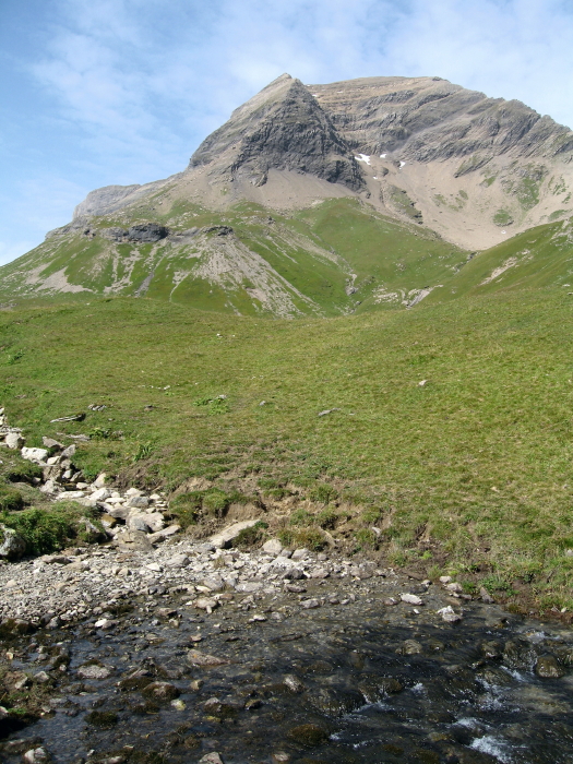 Sarine - source_1_1