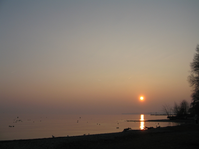IMG_3542_2_1