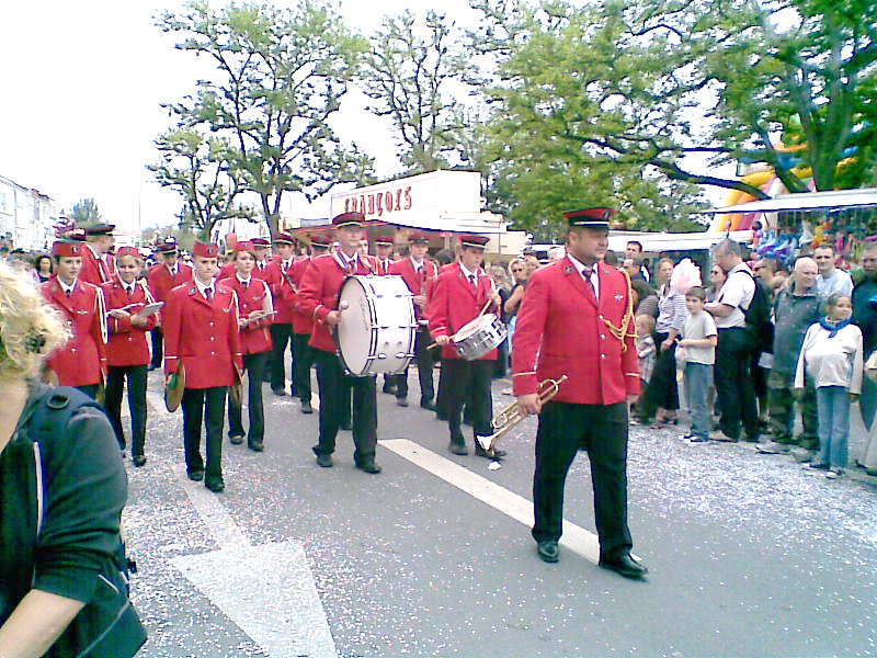 Cavalcade 2008 08052506464313082113814