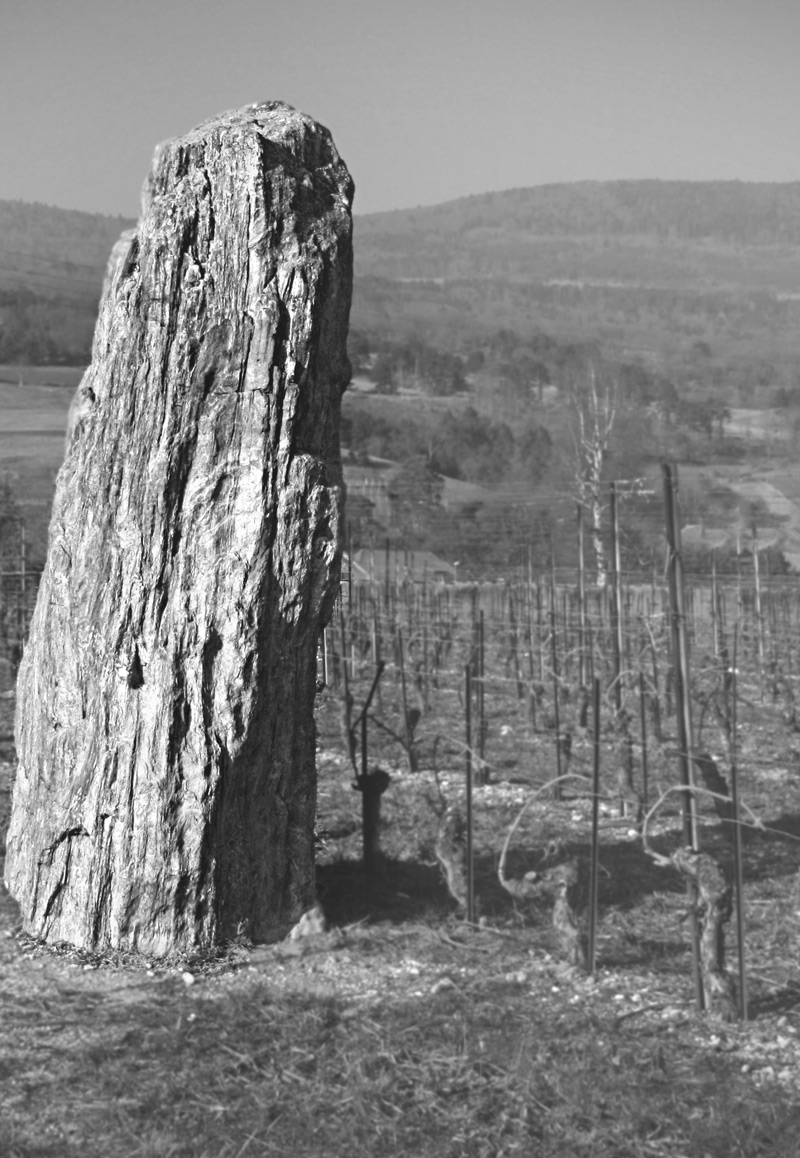 080224.8C-Bonvillars_menhir