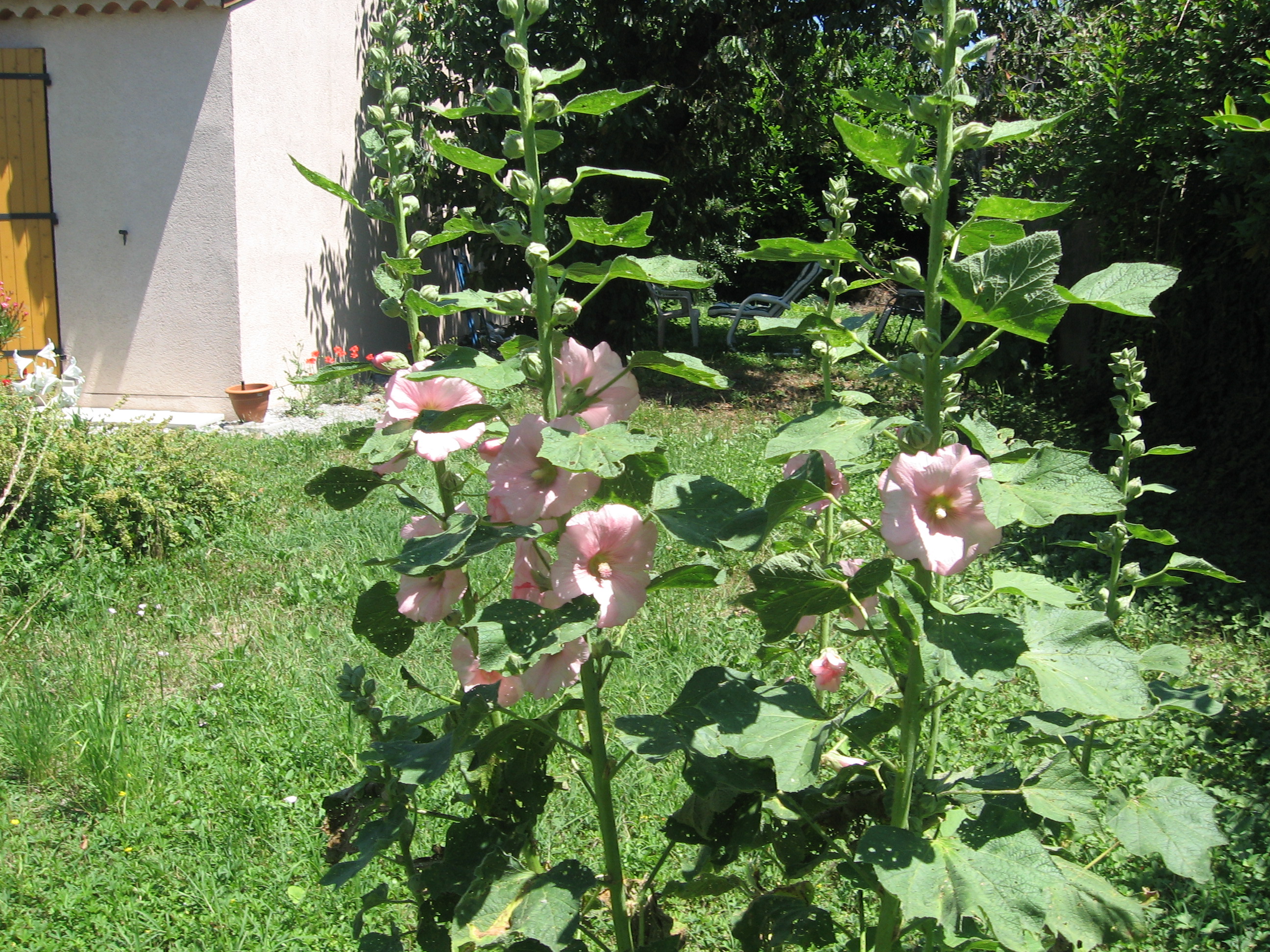 le 21 juin 2008 001