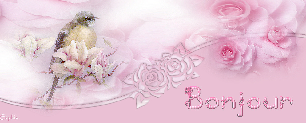 bonjourtop