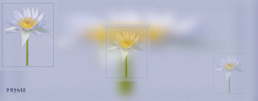 fleur