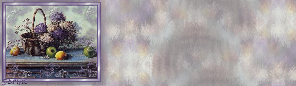 fleurs mauves