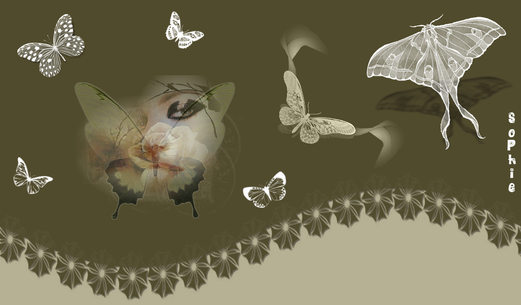 papillons