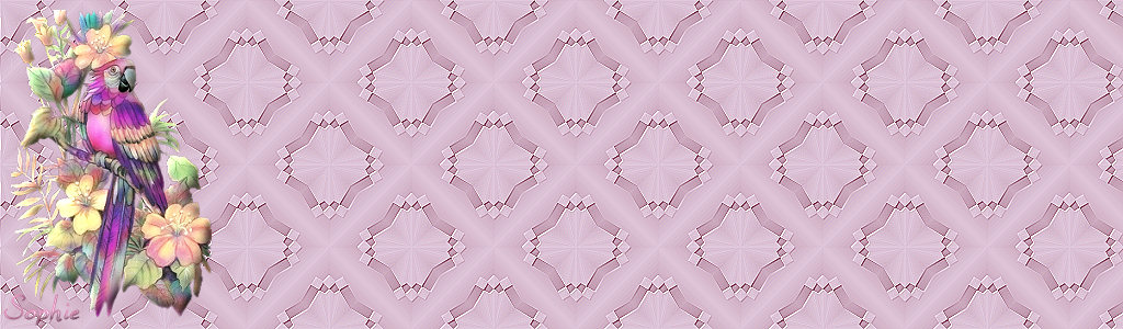 perroquetmauve
