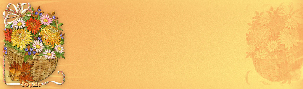 toutenfleurs1