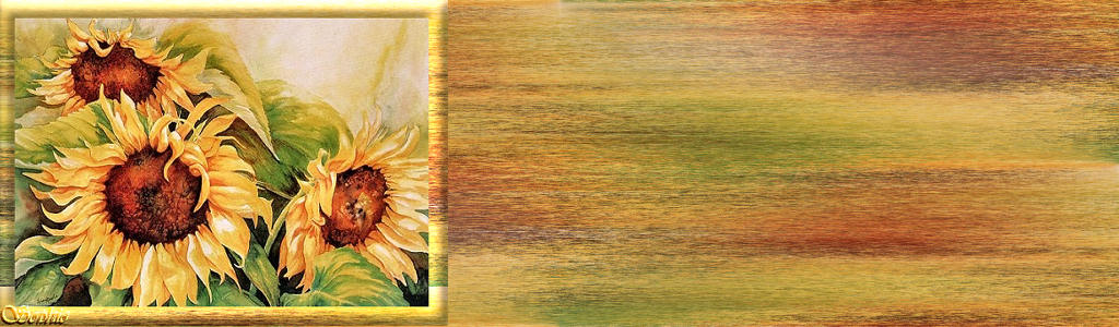 les tournesols