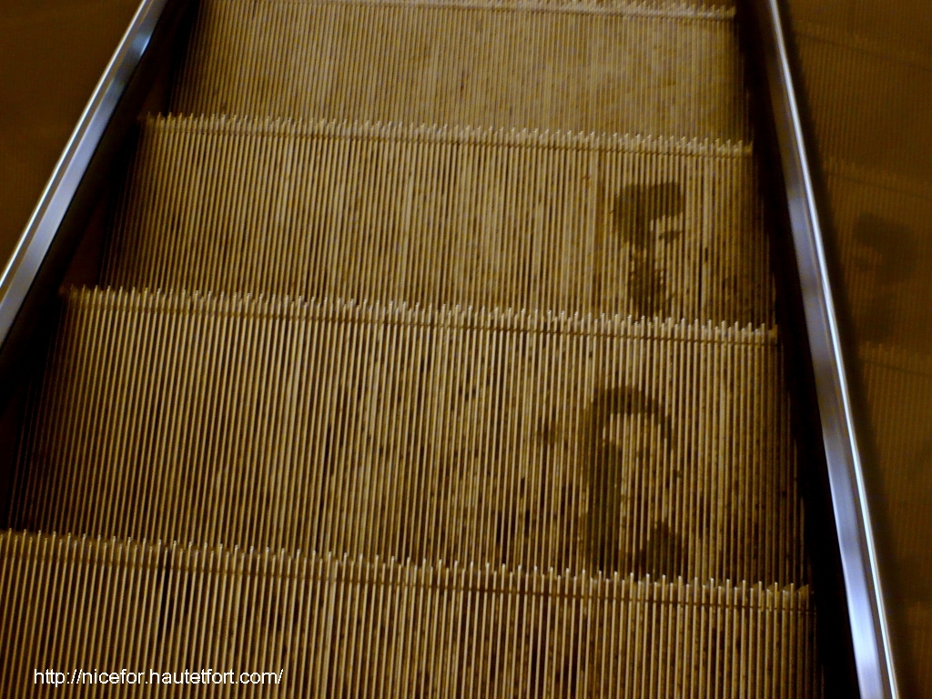 escalator2