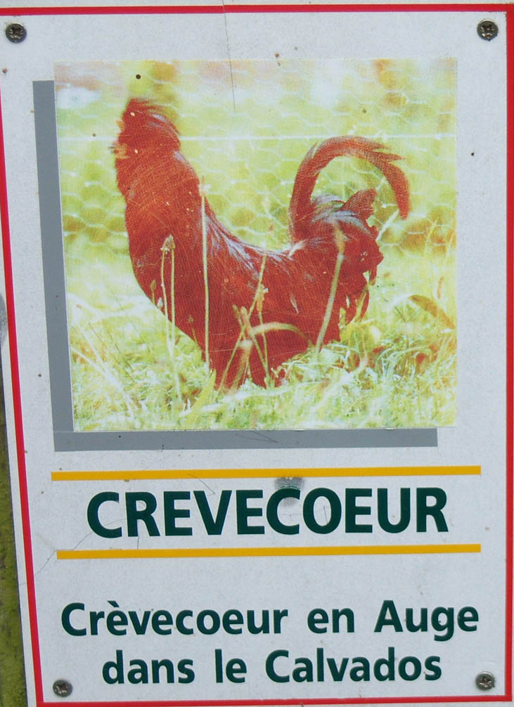 Merci a Efdeve.