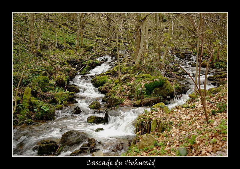 Cascade du Hohwald, Alsace 080720102756308702293586