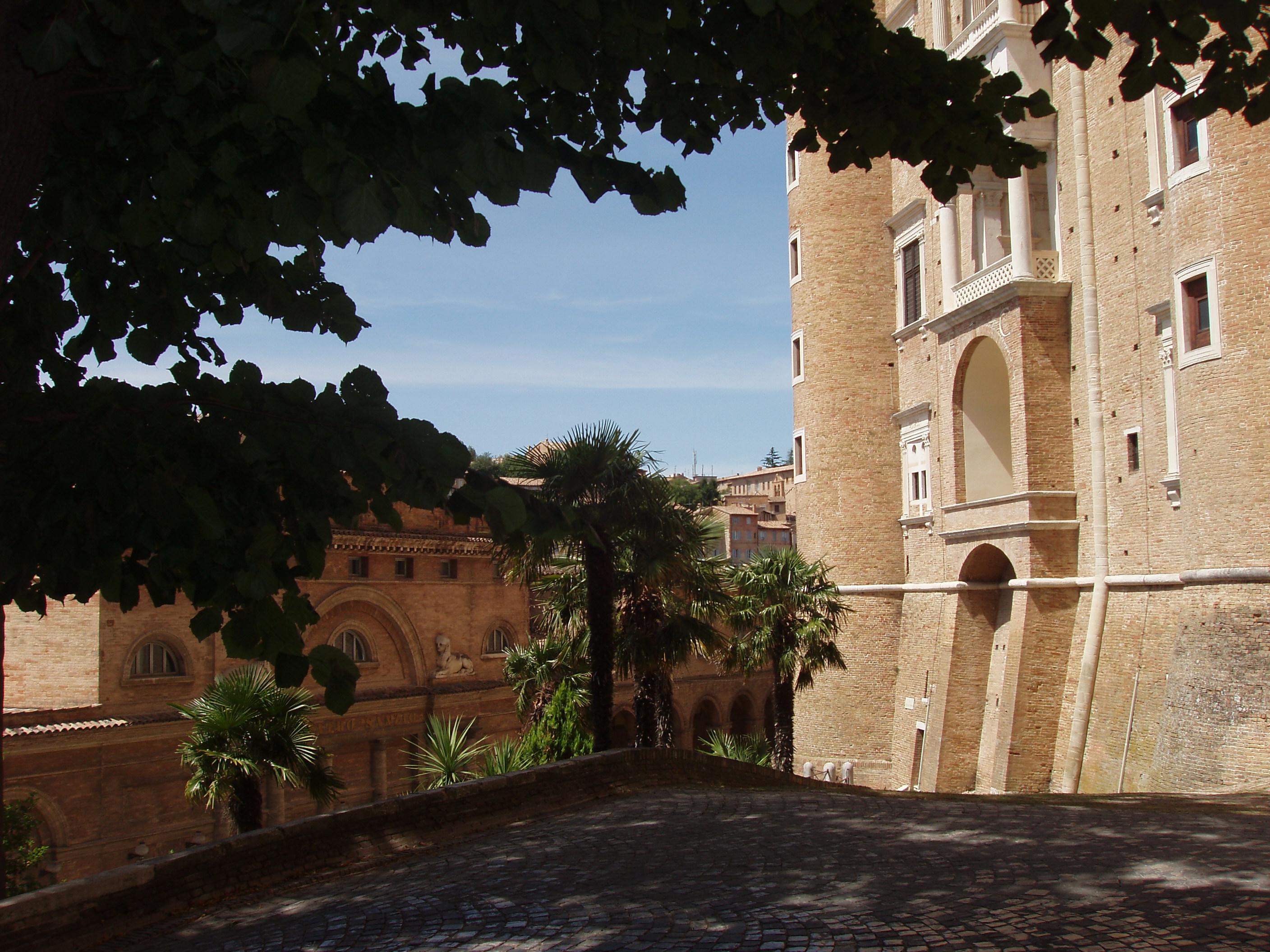 urbino