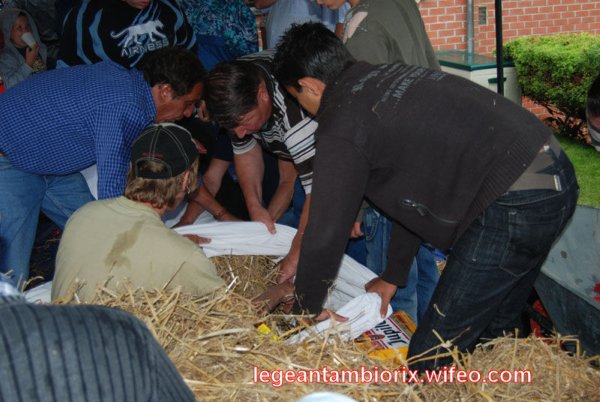 BOURRAGEdesmaronnes-11-2007