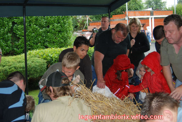 BOURRAGEdesmaronnes-18-2007