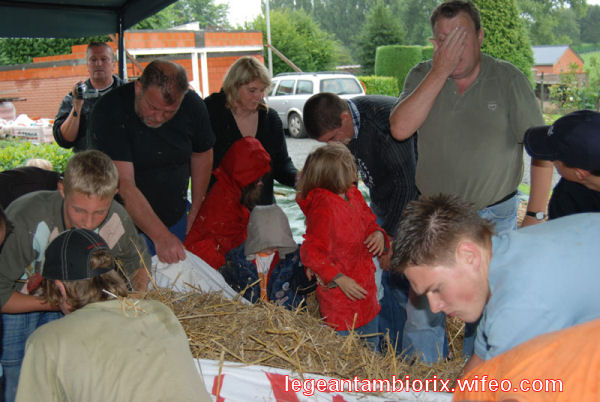 BOURRAGEdesmaronnes-19-2007