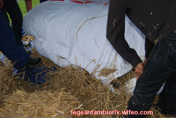 BOURRAGEdesmaronnes-26-2007