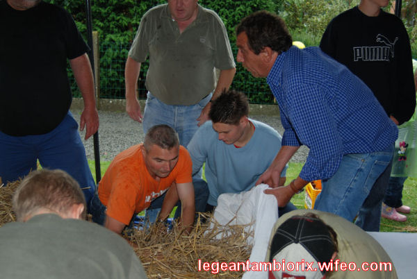 BOURRAGEdesmaronnes-1-2007