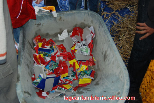 BOURRAGEdesmaronnes-6-2007