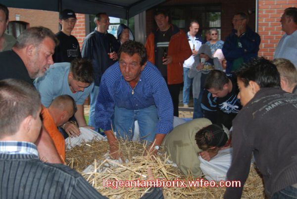 BOURRAGEdesmaronnes-7-2007