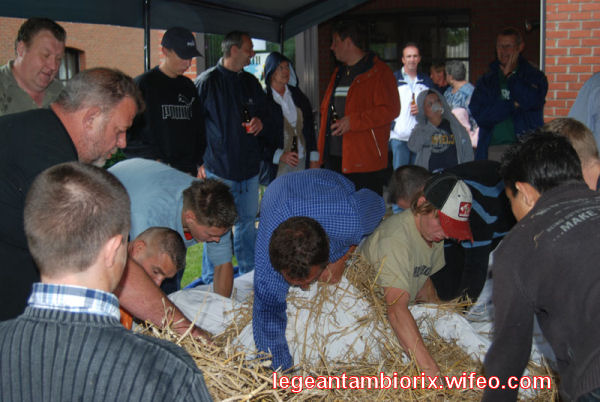 BOURRAGEdesmaronnes-8-2007