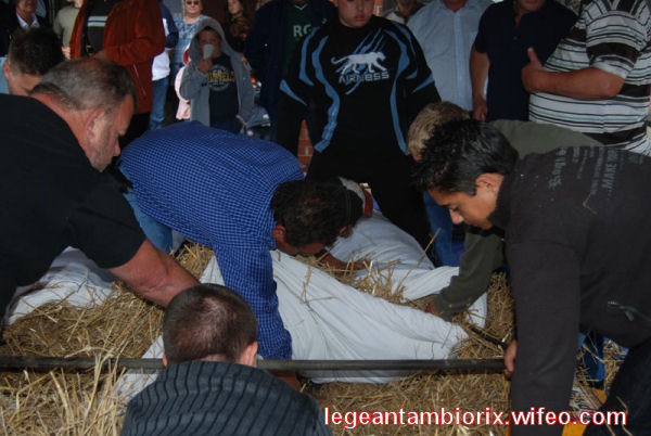 BOURRAGEdesmaronnes-9-2007