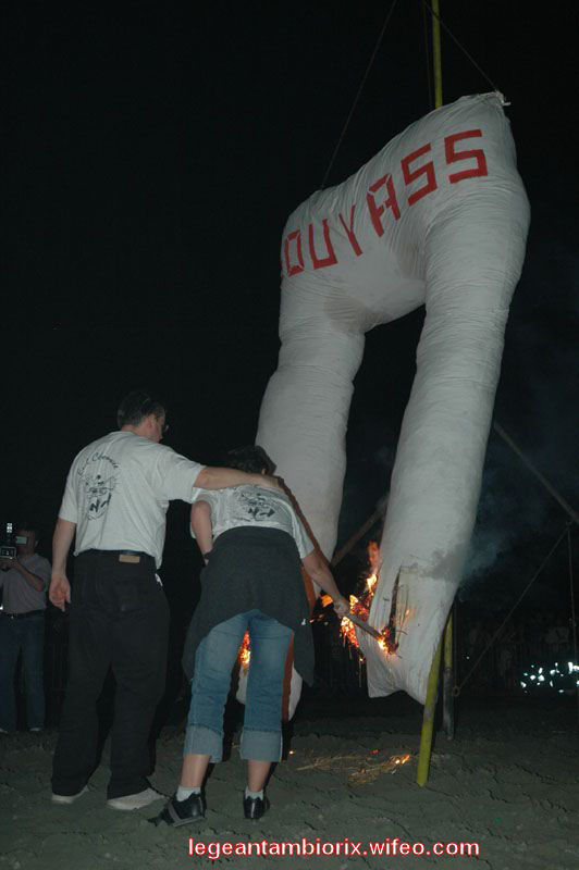 BRULAGE MARONNE 55 2007