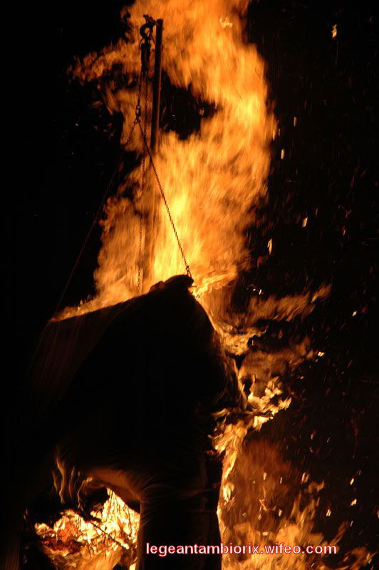 BRULAGE MARONNE 69 2007