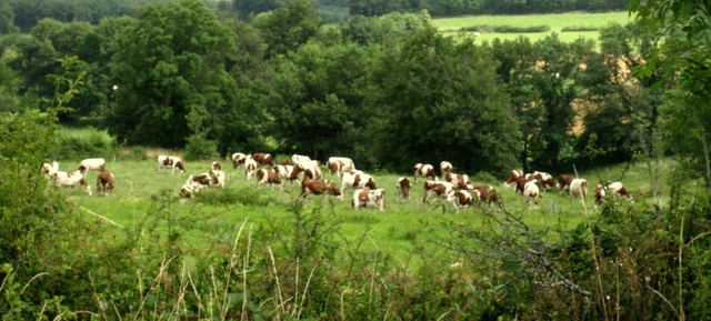 290708ba11H35 [640x480]