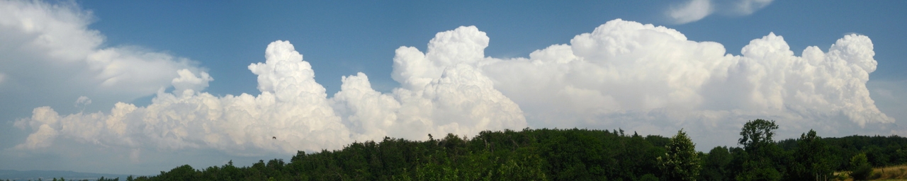 290708h16H55 [1280x768]