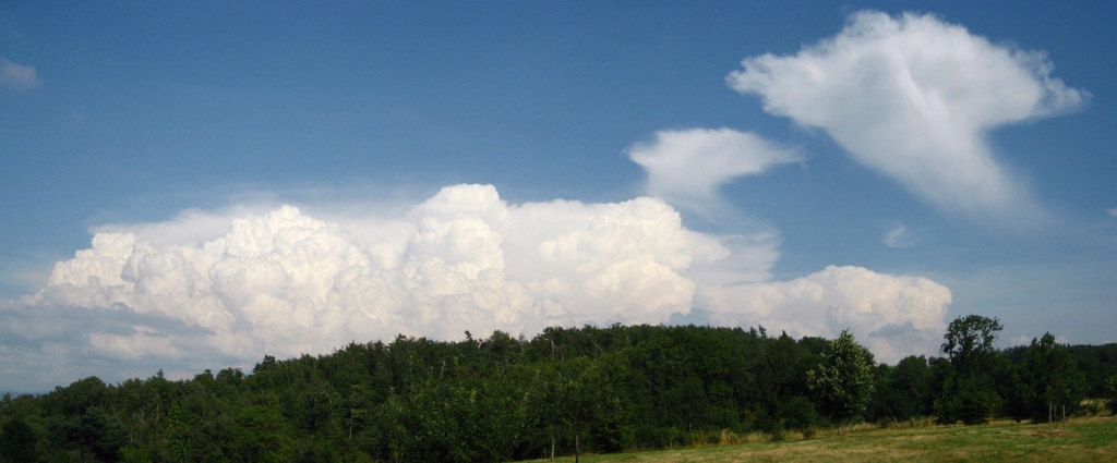 290708k17H40 [1024x768]