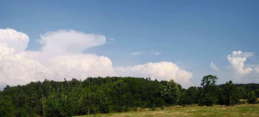 290708l17H55a [1024x768]