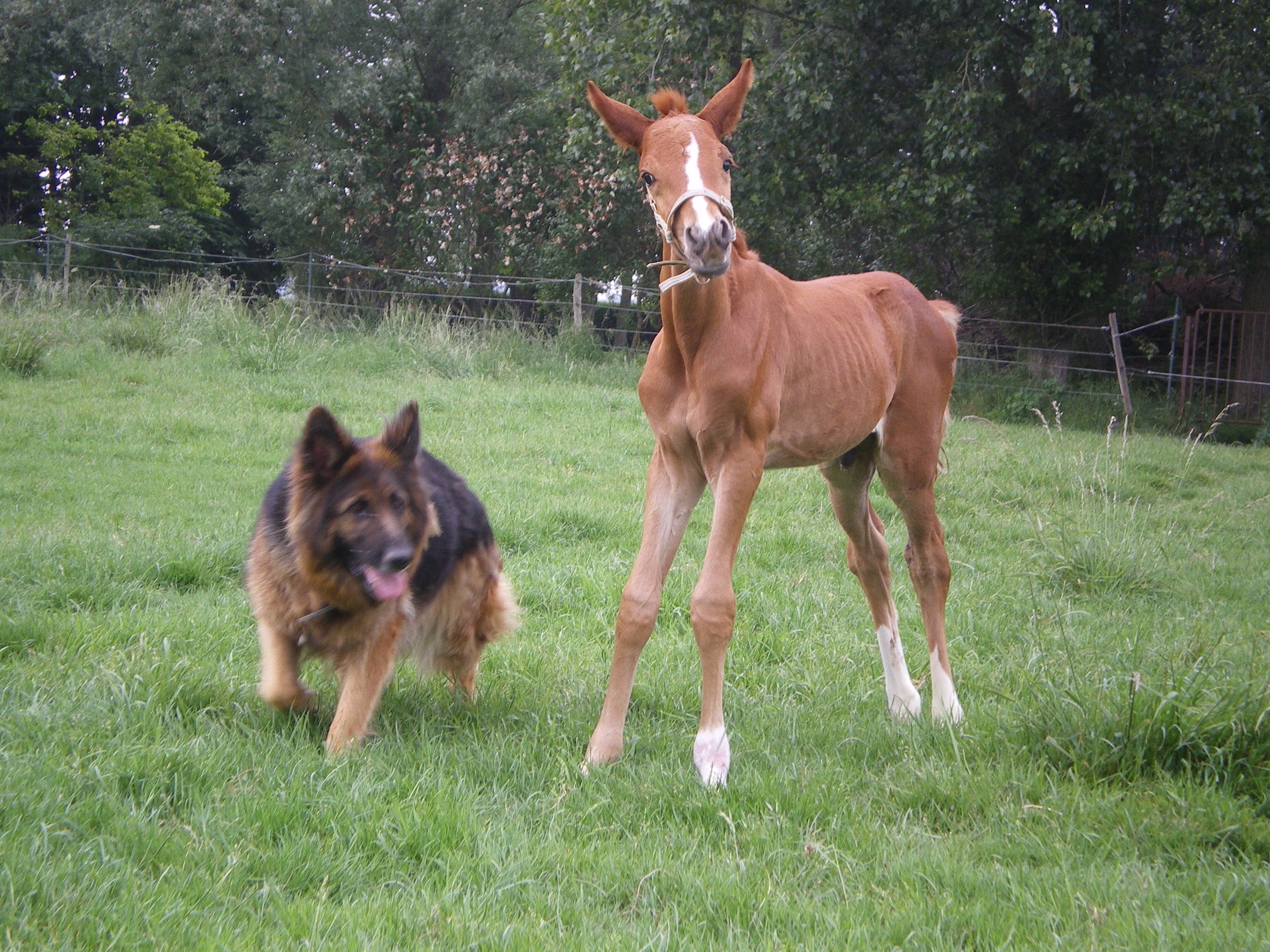 Orka & Unik : P