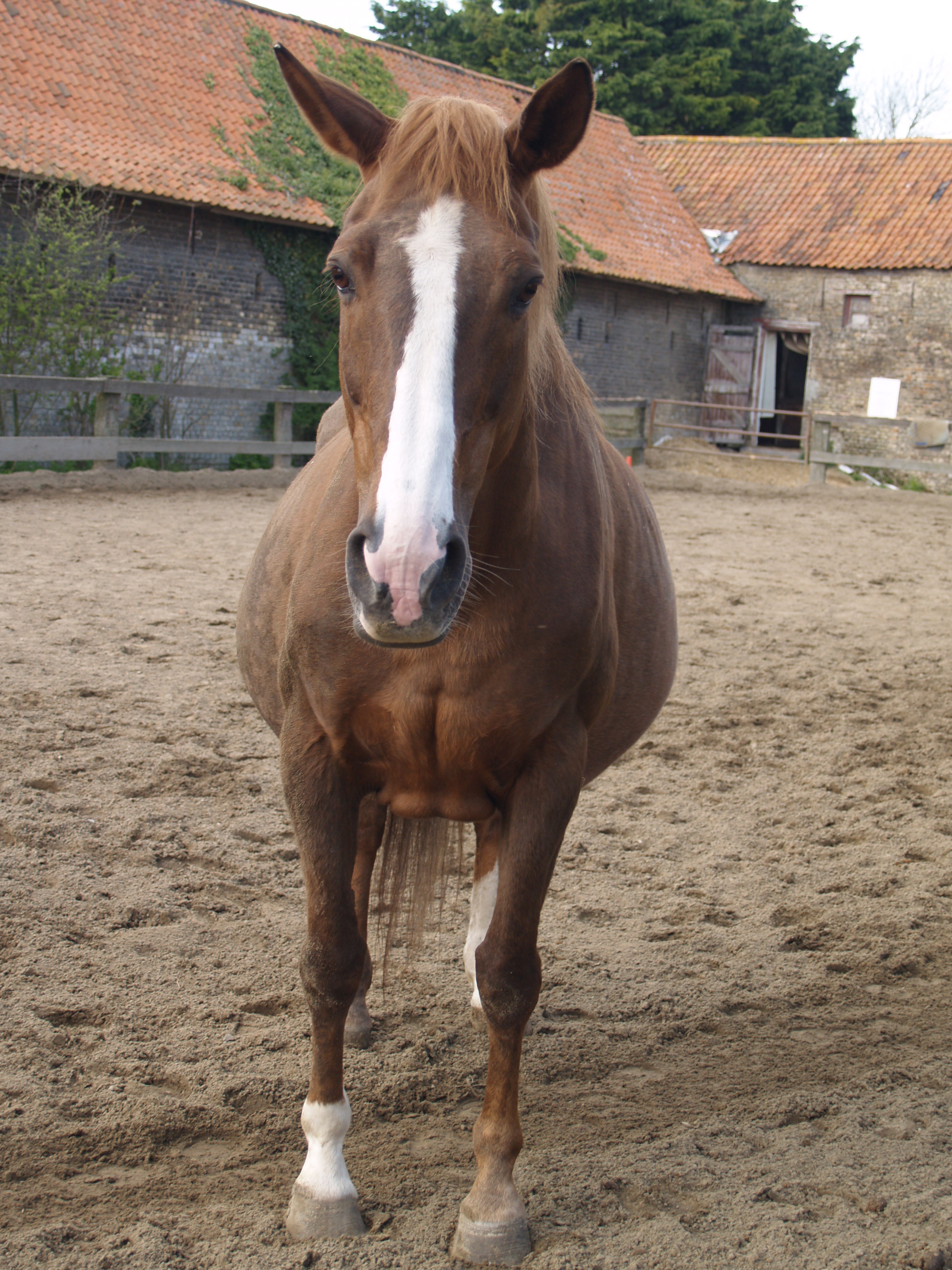 Frostine = ) <3