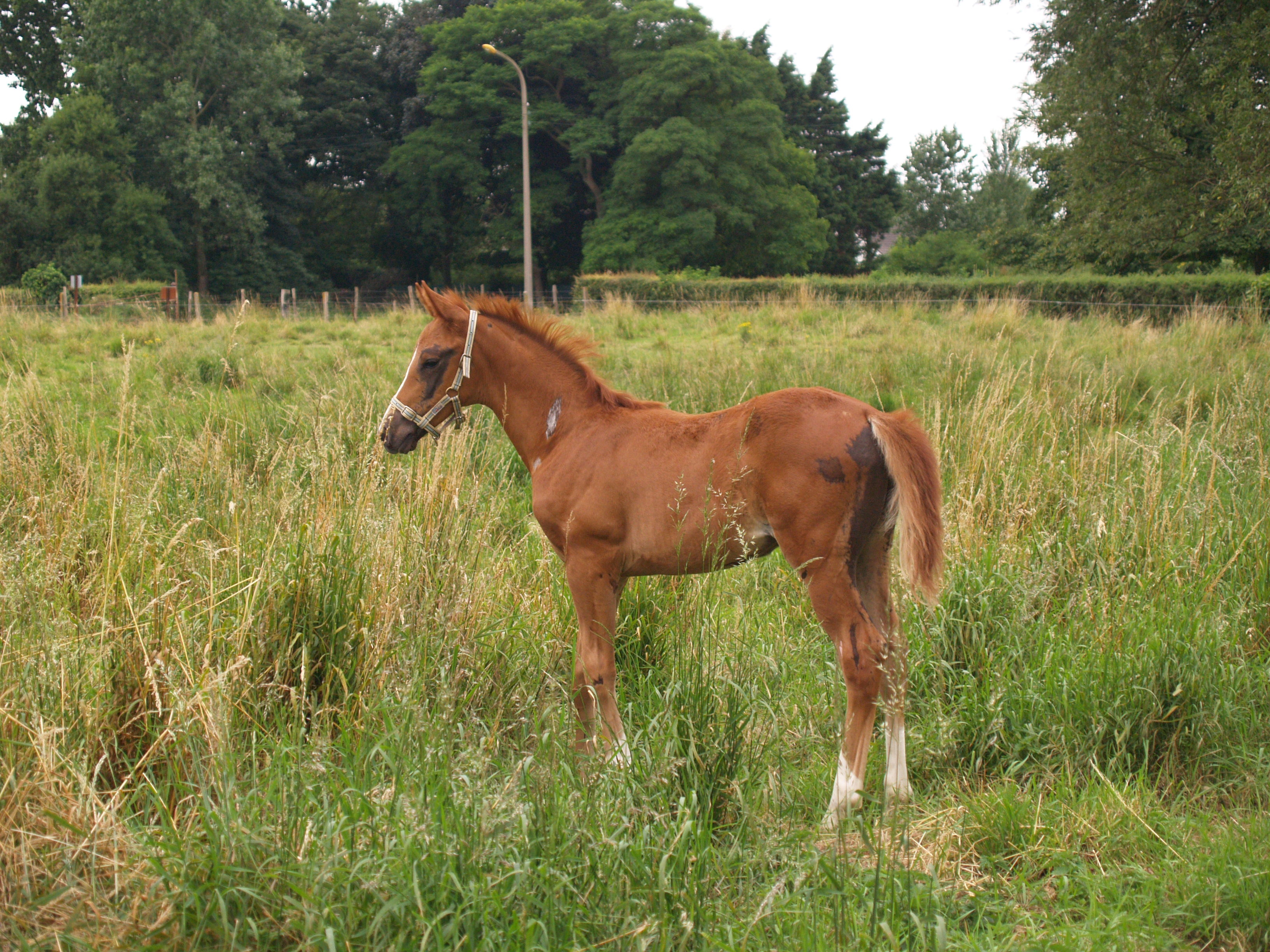 Trop beau <3