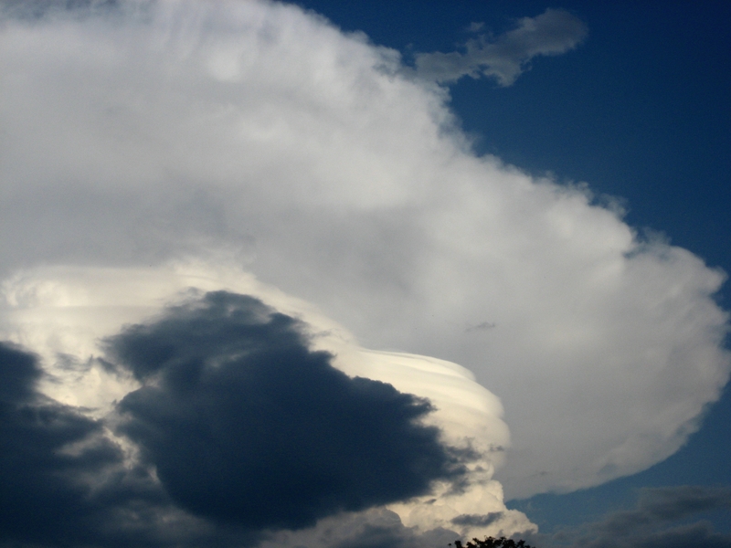 300708lb19H14 [800x600]