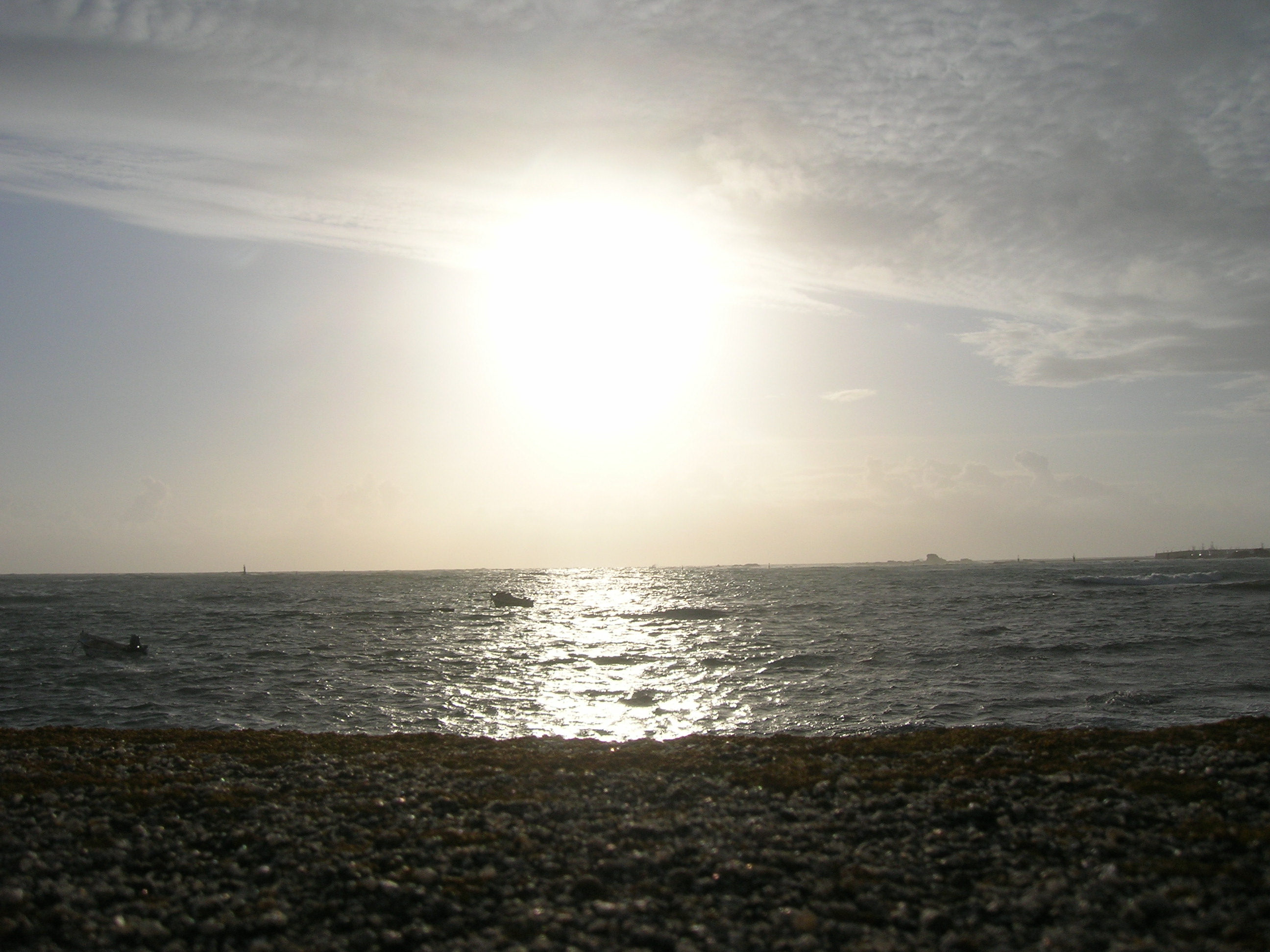 DSCN2679
