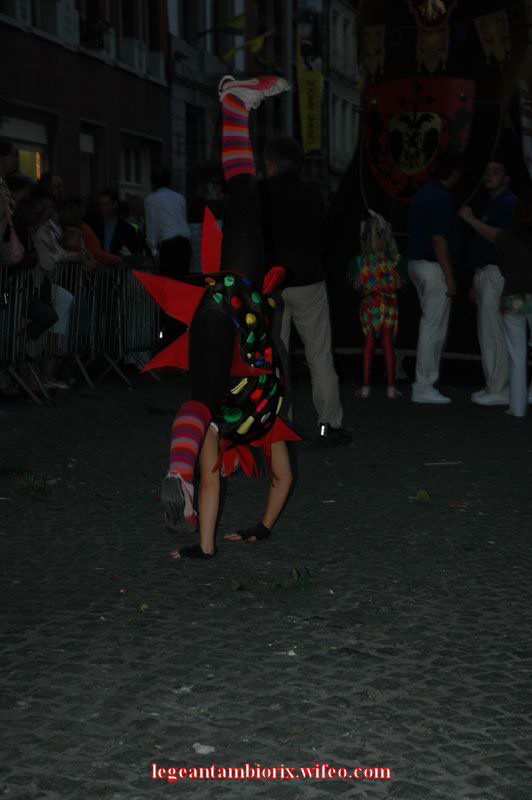 Le Cheval Bayard 2007 57